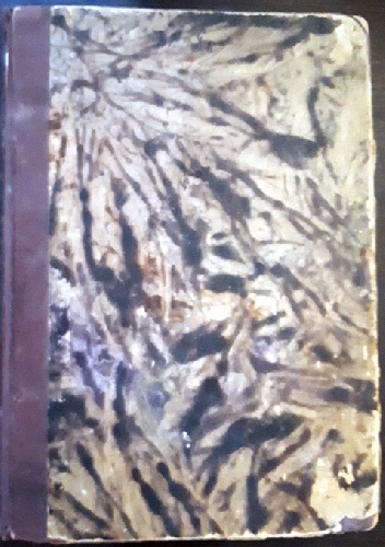 Henryk Sienkiewicz, protoplasta Zagłoby, żywioł subjektywny w trylogii Sienkiewicza, Wojsko Polskie u Sienkiewicza - Henryk Sienkiewicz