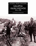 Historia I wojny światowej 5. Gallipoli i Bliski Wschód 1914-1918 - Edward J. Erickson