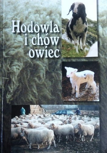 Hodowla i chów owiec
