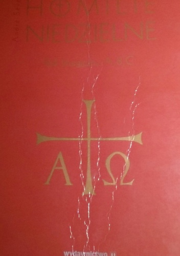 Homilie niedzielne. 168 rozważań do Ewangelii niedzielnych. Rok A, B, C. - Andre Seve