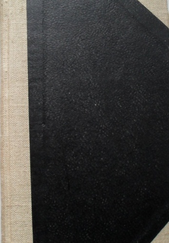 Idą partyzanci. - Marian Janic