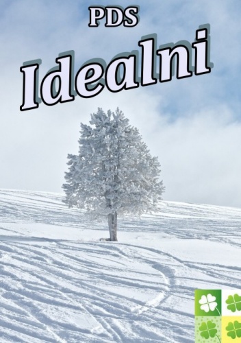 Idealni - Sandra Banasiak, PDS PDS