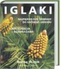 Iglaki - Adrian Bloom