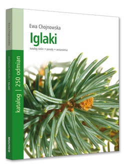 Iglaki - Ewa Chojnowska