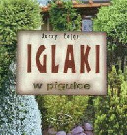 Iglaki w pigułce - Jerzy Zając