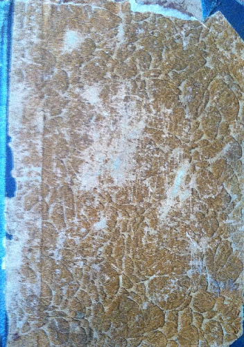 Ilustrowany skarbczyk polski - Marya Ilnicka