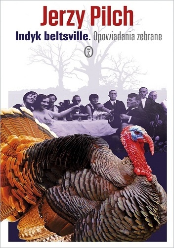 Indyk beltsville. Opowiadania zebrane - Jerzy Pilch