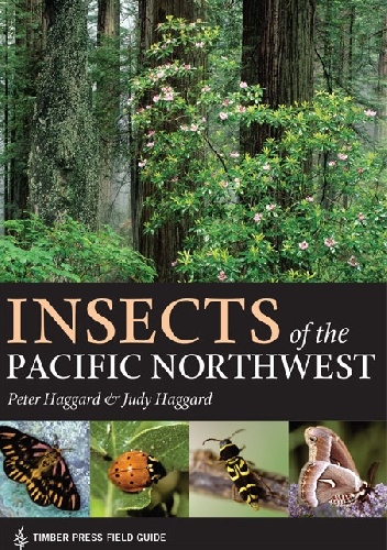 Insects of the Pacific Northwest - Judy Haggard, Peter Haggard