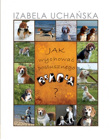 Jak wychować posłusznego beagla - Izabela Uchańska
