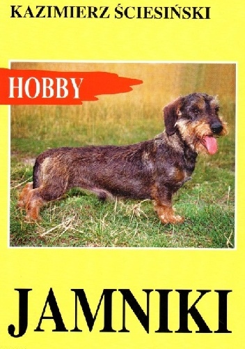 Jamniki - Kazimierz Ściesiński