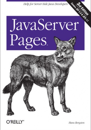 JavaServer Pages. 3rd Edition - Bergsten Hans