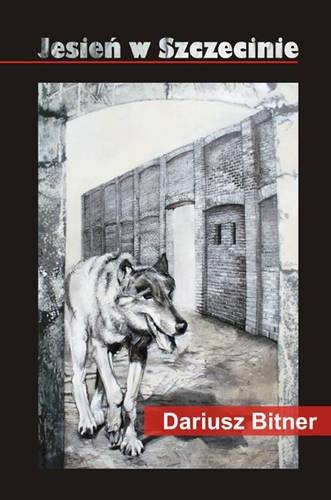 Jesień w Szczecinie - Dariusz Bitner