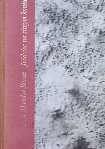 Jeździec na siwym koniu - Theodor Storm