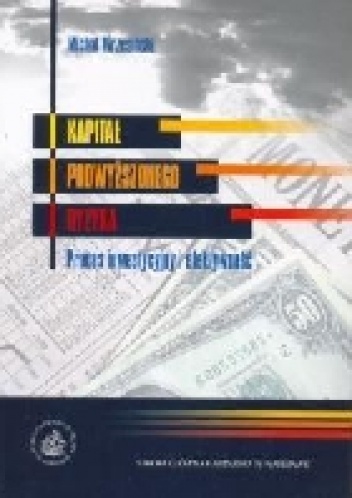 Kapitał podwyższonego ryzyka. Proces inwestycyjny i efektywność - Michał Wrzesiński