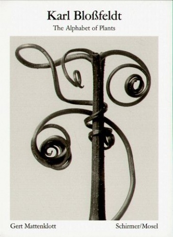 Karl Blobfeldt The Alphabet Of Plants - Karl Blobfeldt