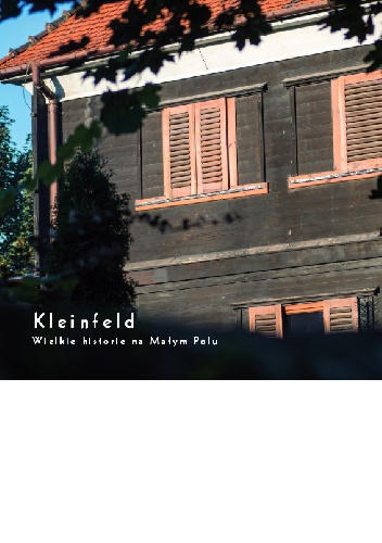 Kleinfeld. Wielkie historie na Małym Polu - Jacek Maniecki, Marek Wojcik
