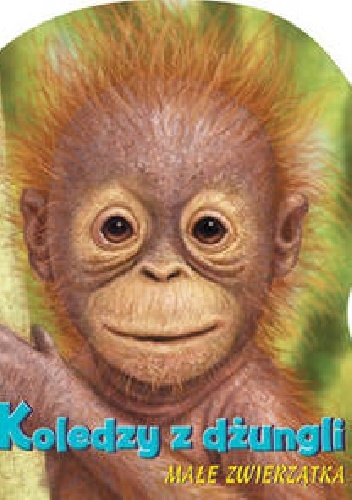 Koledzy z dżungli - praca zbiorowa