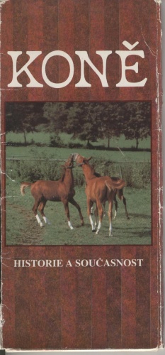 Koně - historie a současnost