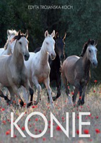 KONIE - Edyta Trojańska-Koch