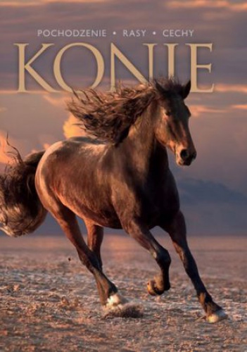 Konie. Pochodzenie, rasy, cechy. - Patrycja Zarawska
