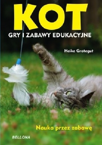 Kot. Gry i zabawy edukacyjne - Heike Grotegut