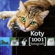 Koty. 1001 fotografii - praca zbiorowa