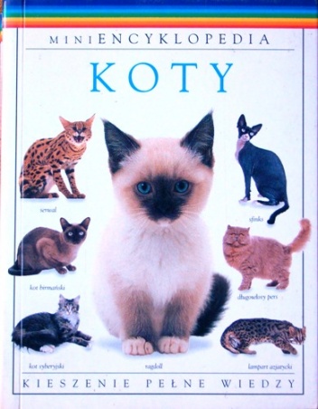 Koty - David Alderton