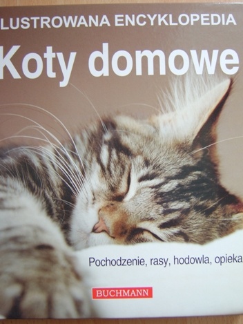 Koty domowe - Catherine Davidson