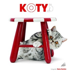 Koty - Giorgio Ferrero, Federica Romagnoli