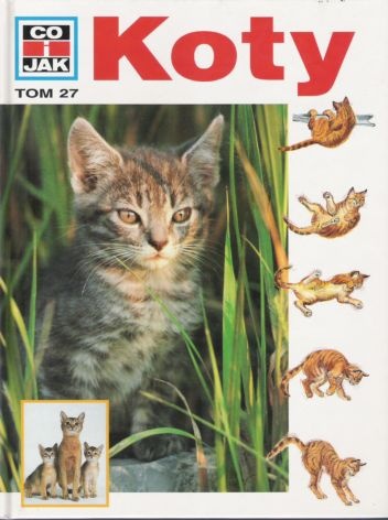 Koty - Rainer Köthe