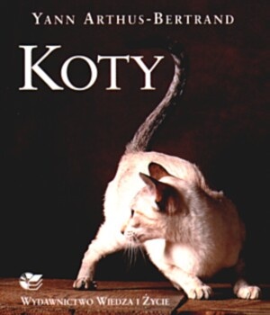 Koty - Yann Arthus-Bertrand