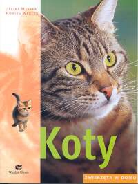 Koty. Zwierzęta w domu - Monika Wegler, Ulrike Muller
