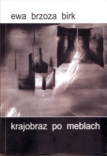 Krajobraz po meblach - Ewa Brzoza-Birk