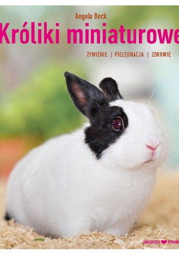 Króliki miniaturowe - Angela Beck
