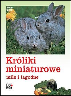 Króliki miniaturowe łagodne i miłe - Peter Beck
