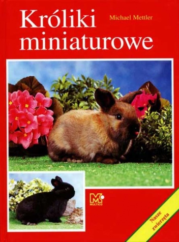 Króliki miniaturowe - Michael Mettler