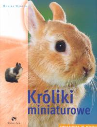 Króliki miniaturowe. Zwierzęta w domu - Monika Wegler