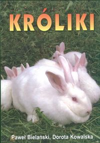 Króliki - Paweł Bielański Kowalska Dorot