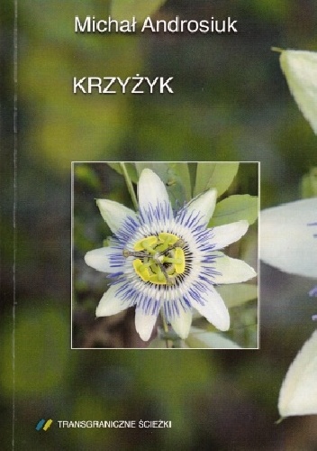 Krzyżyk - Michał Androsiuk