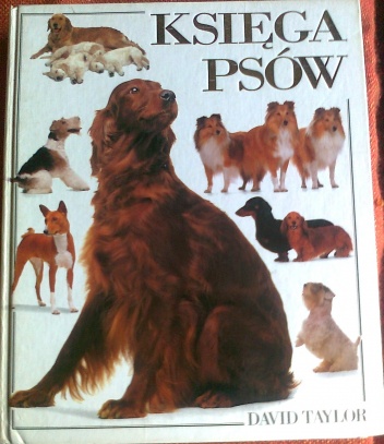 Księga psów - David Taylor