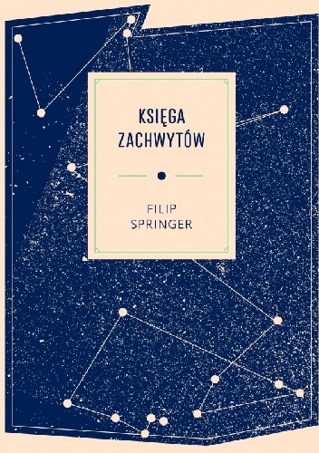 Księga zachwytów - Filip Springer