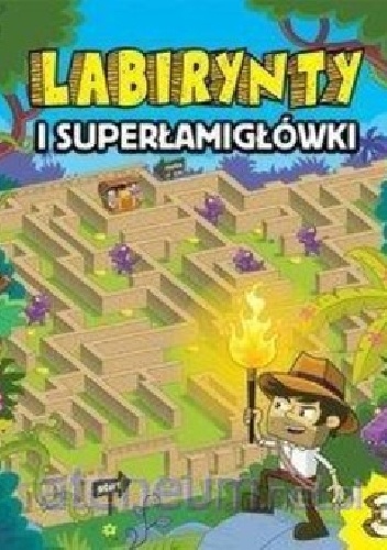 Labirynty i superłamigłówki - praca zbiorowa