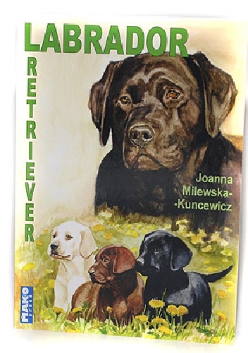 Labrador Retriver - Joanna Milewska-Kuncewicz