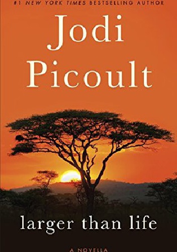 Larger Than Life - Jodi Picoult