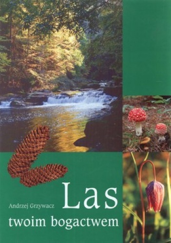 Las twoim bogactwem - Andrzej Grzywacz