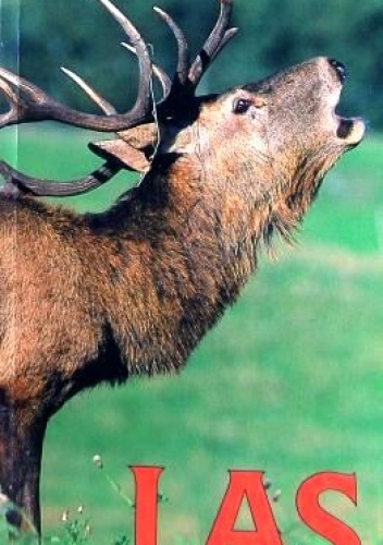 Las - Wolfgang Dryer, Eva Dryer