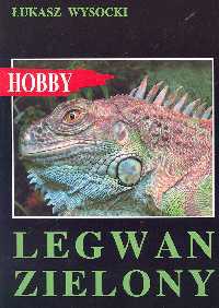 Legwan Zielony - Łukasz Wysocki