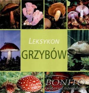 Leksykon grzybów - Mariola Jezierska