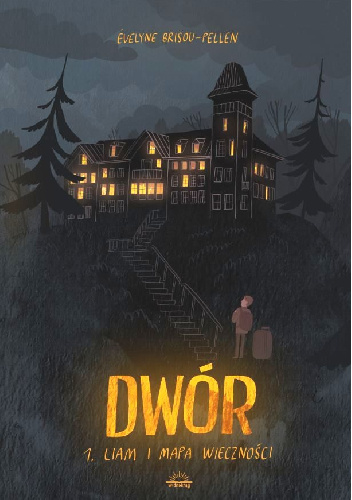 Liam i mapa wieczności - Évelyne Brisou-Pellen