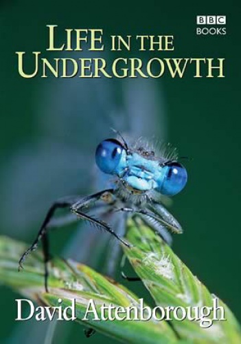 Life in the Undergrowth - David Attenborough